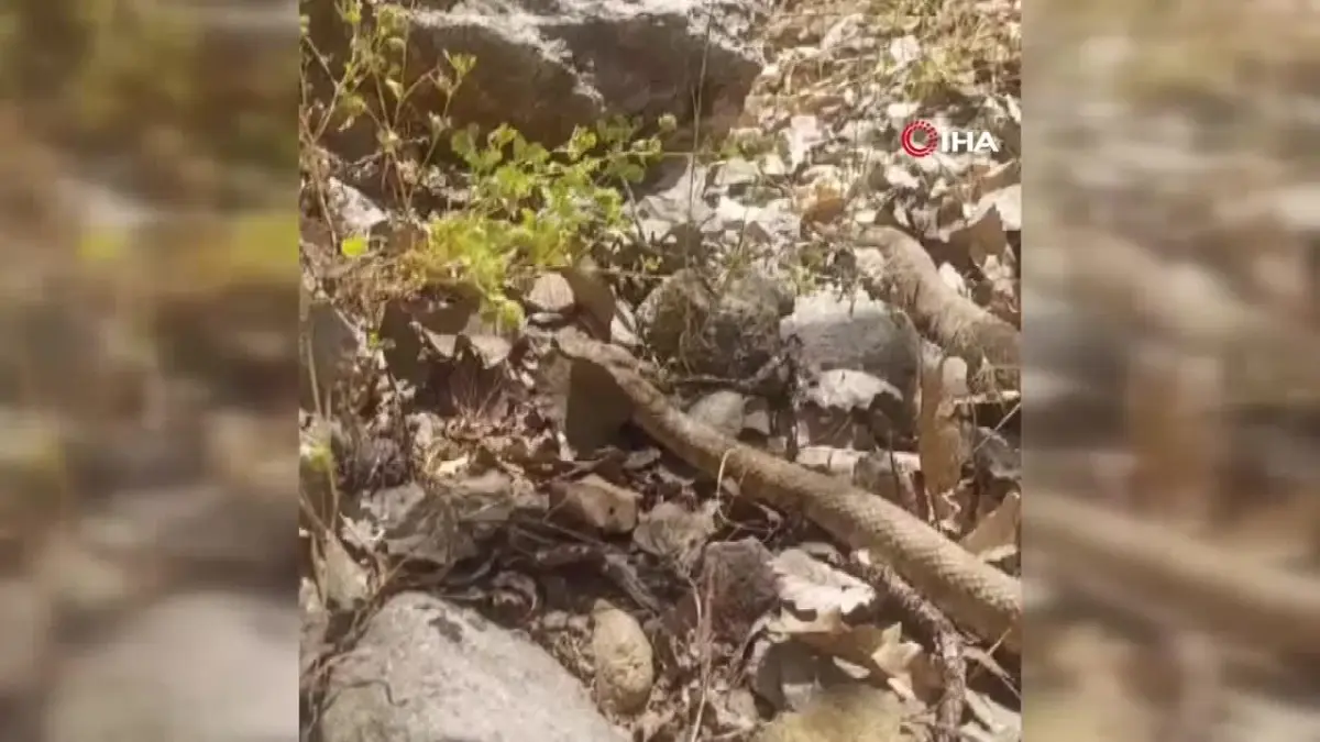 Sinpaş Gayrimenkul: "TOKİ ve Kiptaş Sektöre Zarar Veriyor"