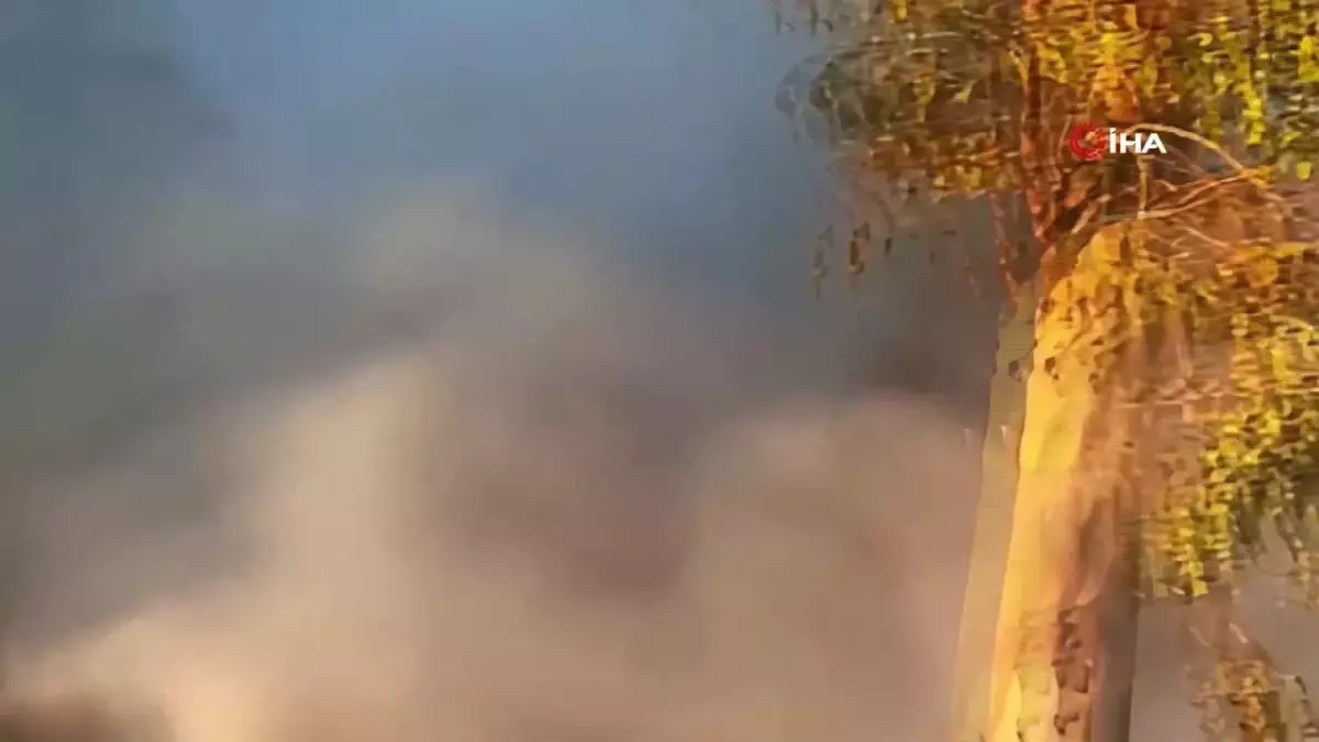 Gelibolu Yarımadası\'nda Çıman Orman Yangını Kontrol Altına Alındı