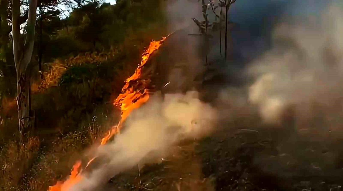 Kayseri'de Turizm Haftası Etkinlikleri