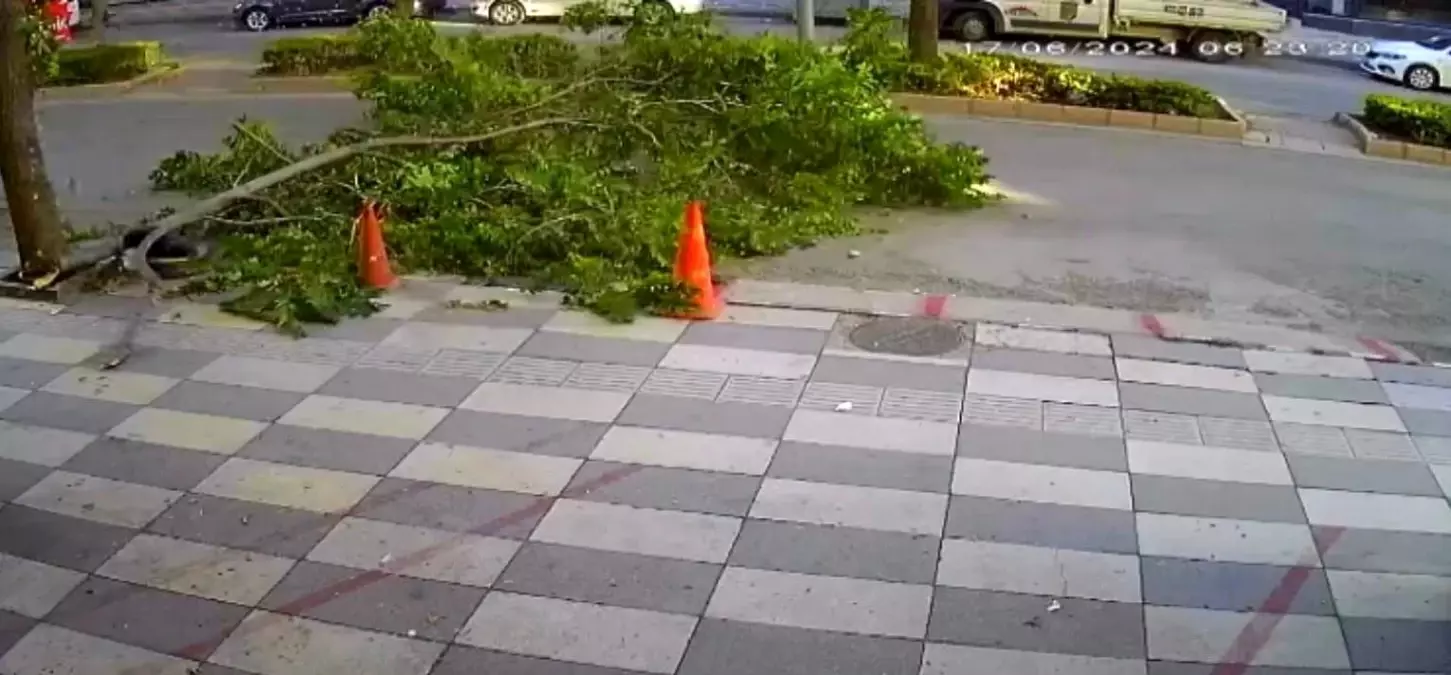 Gaziantep\'teki Fuar ve Kongre Merkezi Çalışmaları