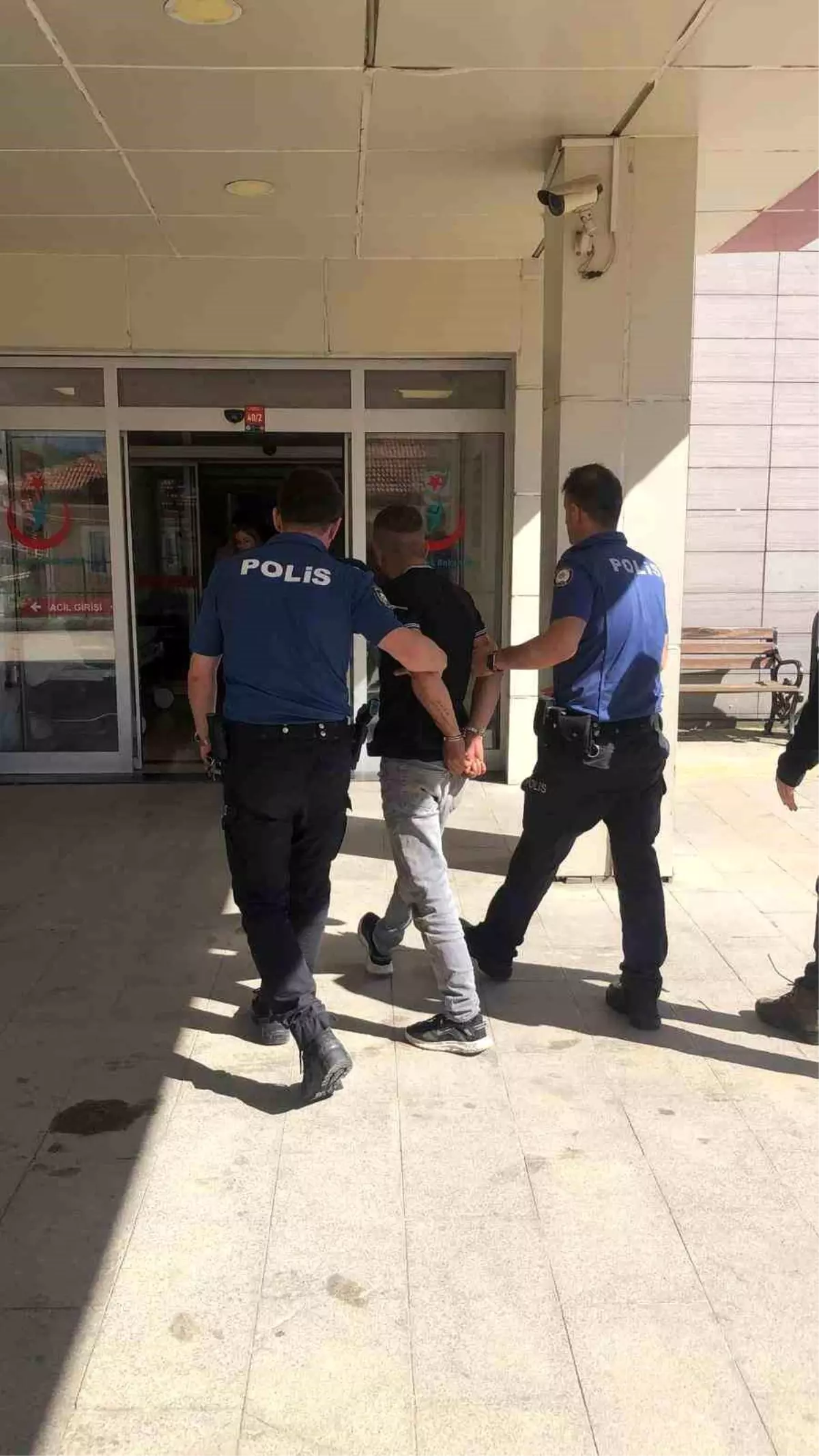 Pulitzer Ödülleri Sahiplerini Buldu