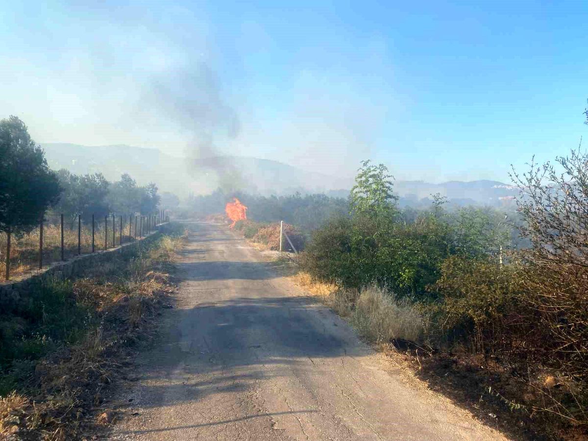 Bu Haksızlık Ben de Anneyim