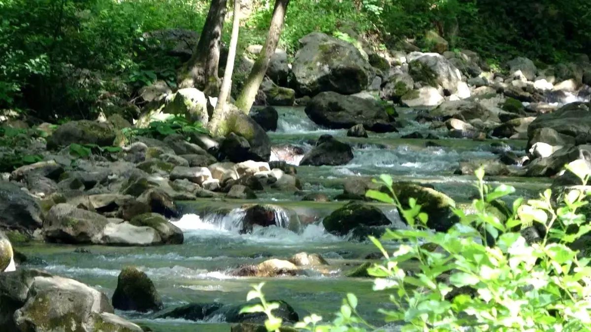 Gebze Belediyesi, Kent Meydanı Pojesiyle Atağa Geçiyor