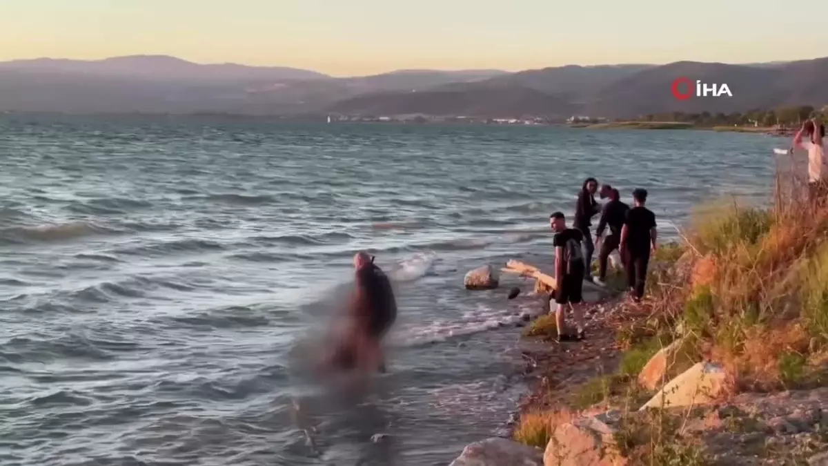 Sünelere Karşı Sinekler