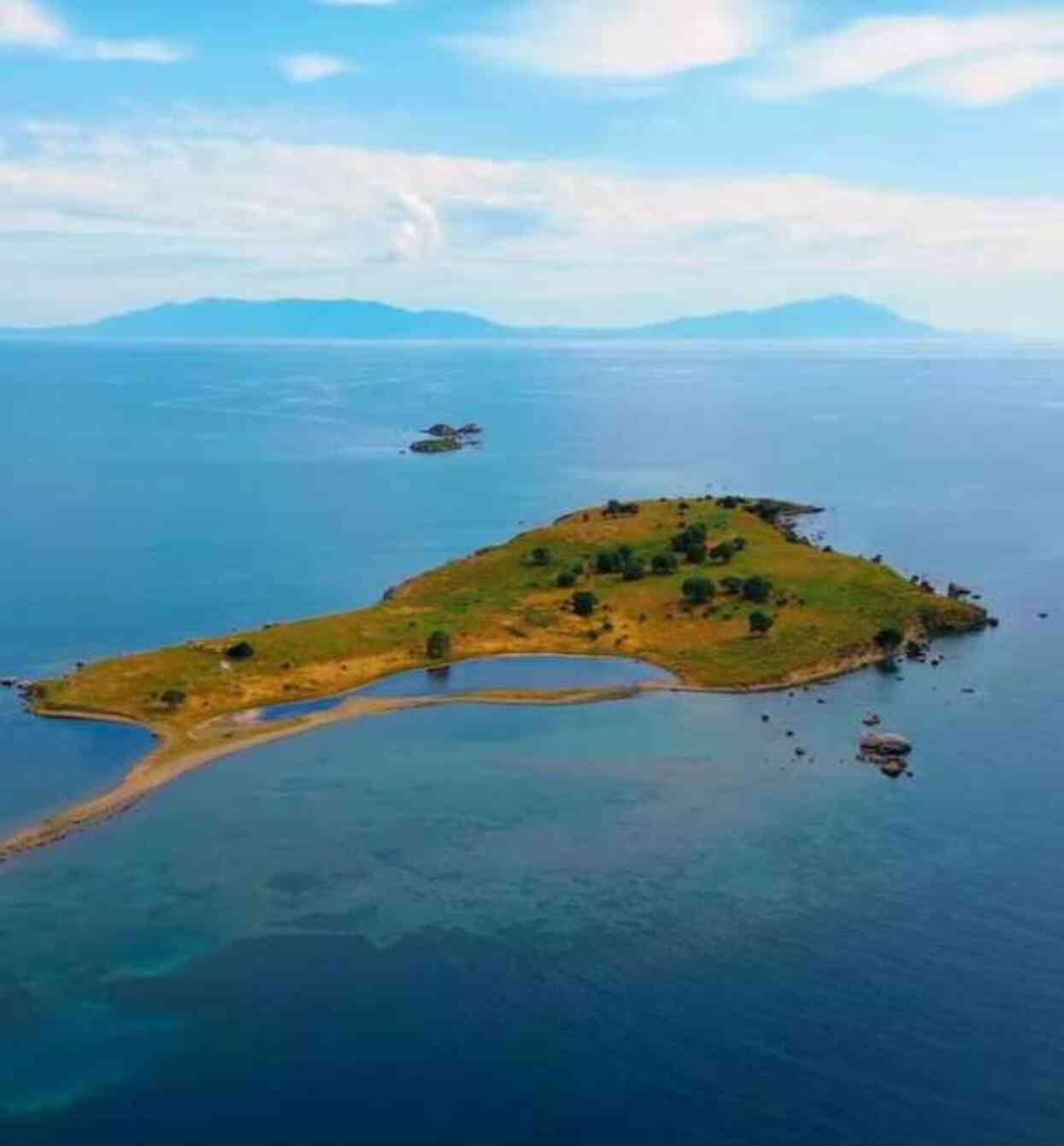İzmir'deki yangında Çiçek Adası'nın tamamı küle döndü İzmir'deki yangında Çiçek Adası'nın tamamı küle döndü