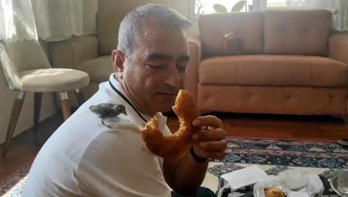 DTP Ağrı İl Başkanı Tutuklandı