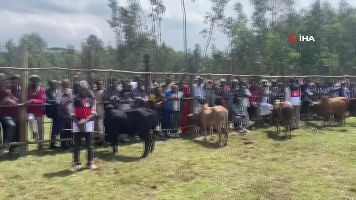 Foseptik Facialarına Yenisi Eklendi