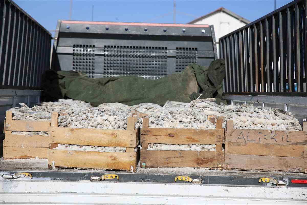 Fransız İstihbaratı 11 Eylül Saldırılarından Önce ABD'yi Uyarmış