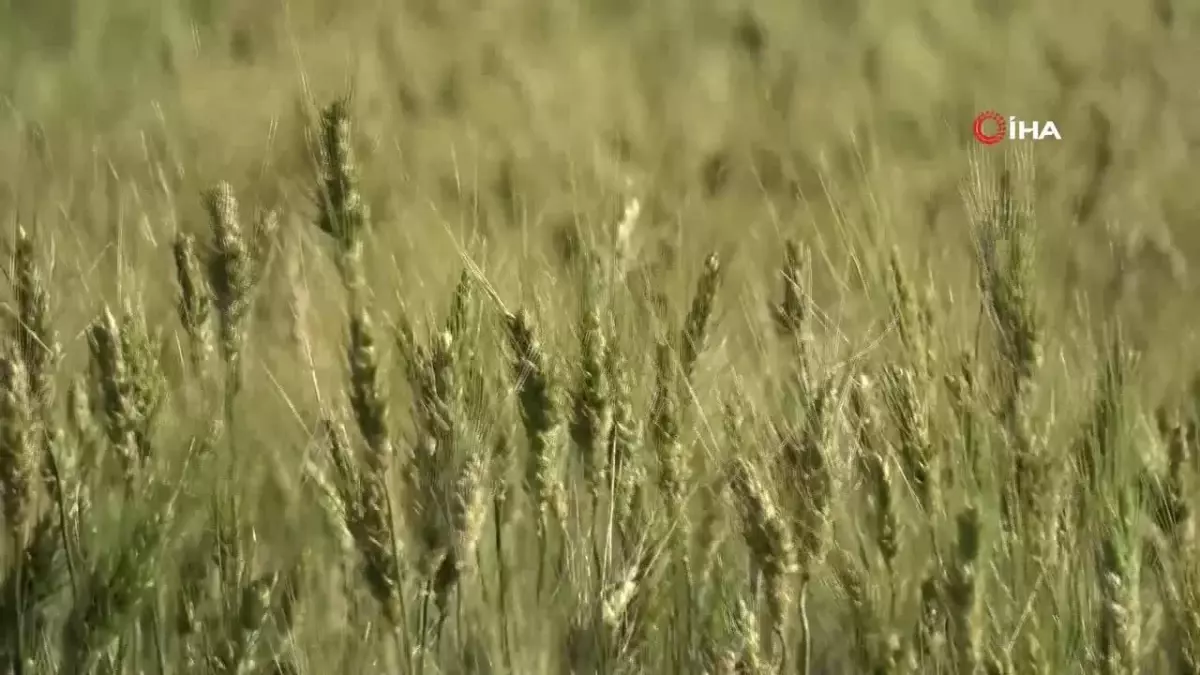 AK Parti TBMM Grup Toplantısı