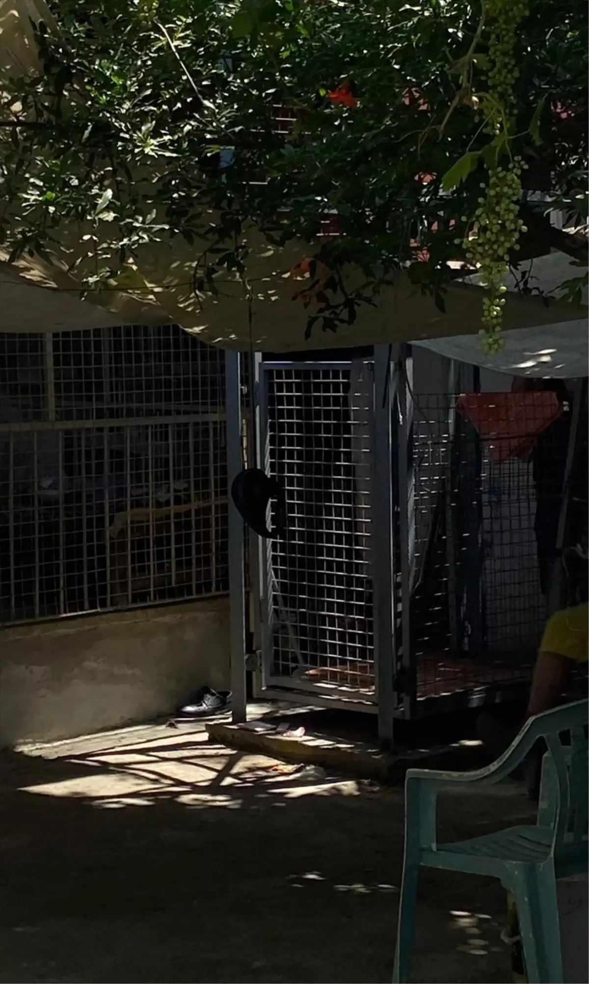 Başkentte Milli Egemenlik Koşusu