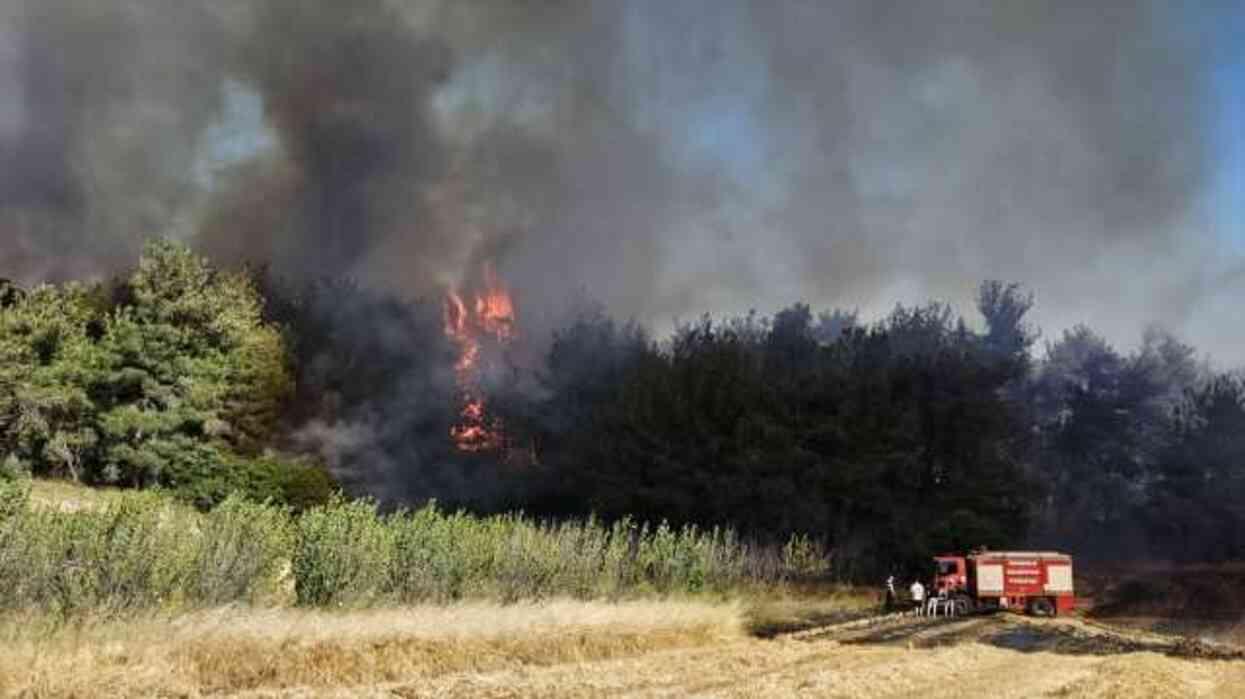 Çanakkale'de orman yangını! Boğaz'da gemi trafiği tek yönlü askıya alındı