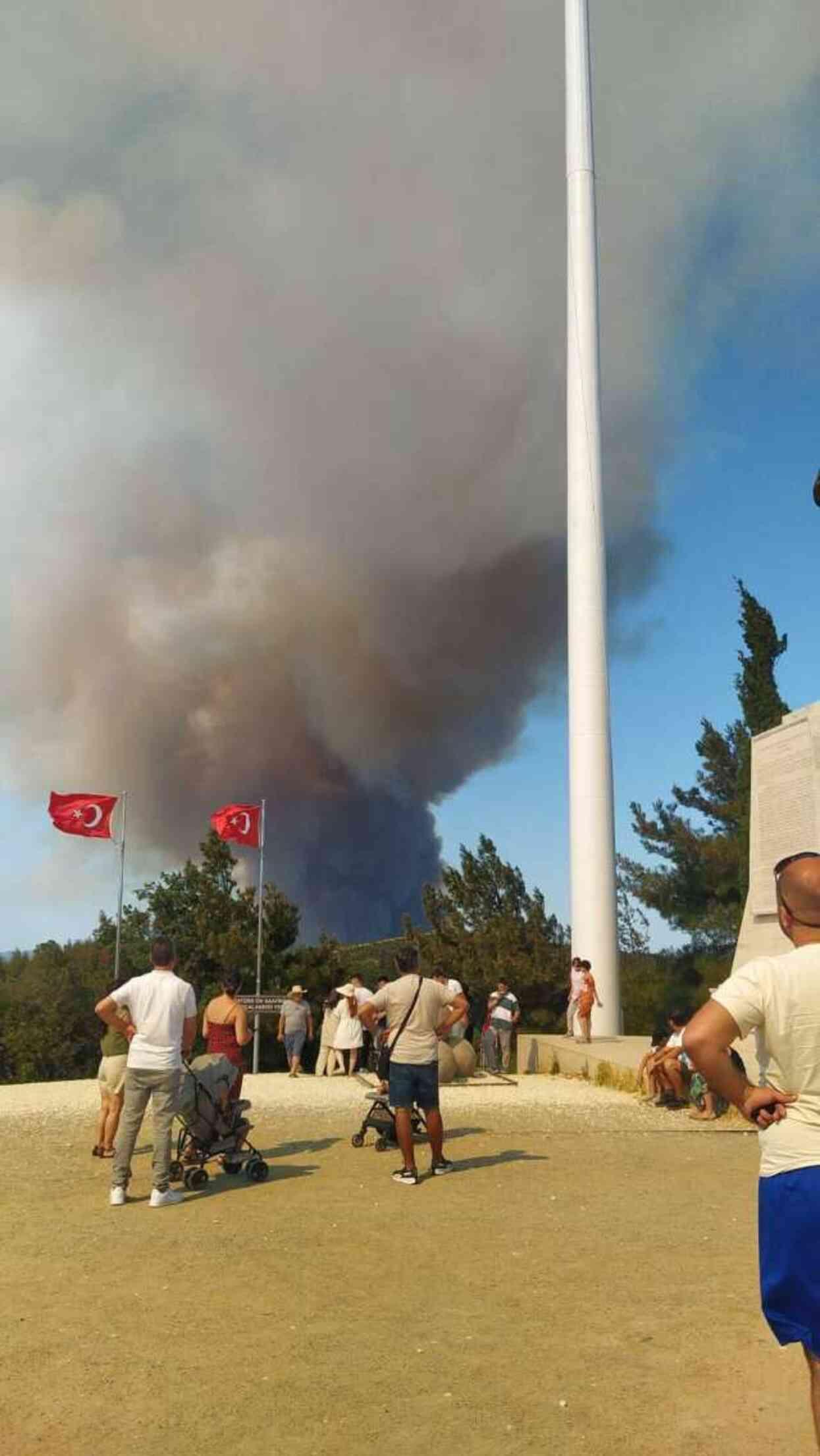 Çanakkale'de orman yangını! Boğaz'da gemi trafiği tek yönlü askıya alındı