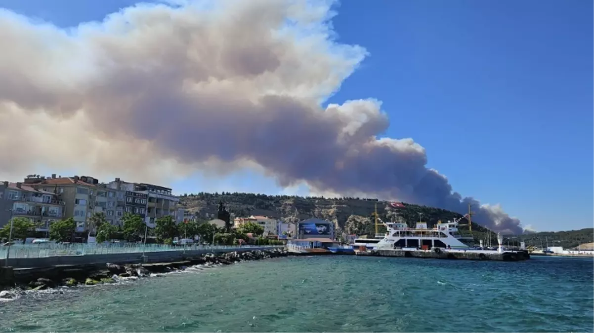 Çanakkale\'de orman yangını! Boğaz\'da gemi trafiği tek yönlü askıya alındı