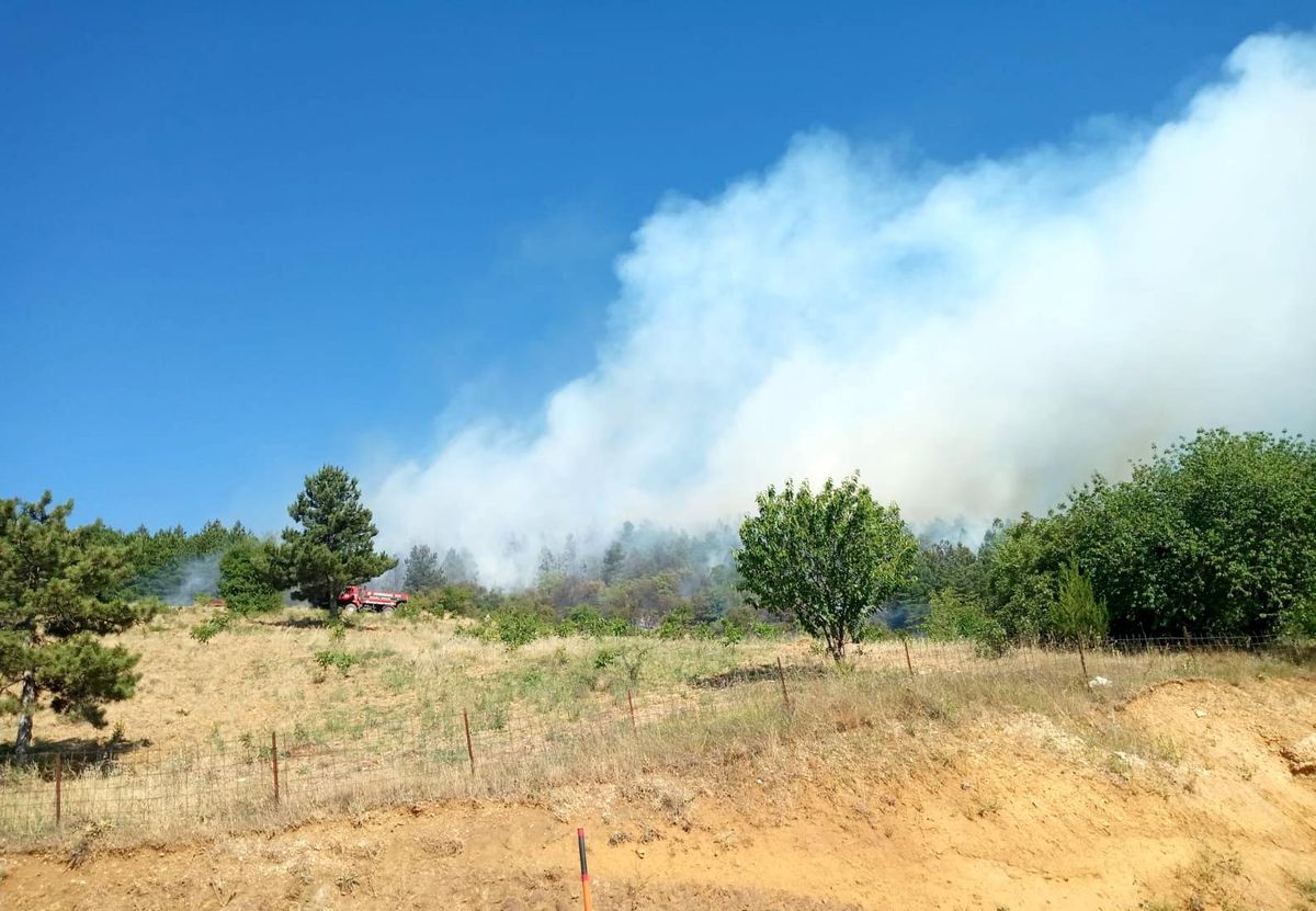 Merkez Bankası Döviz Kurları