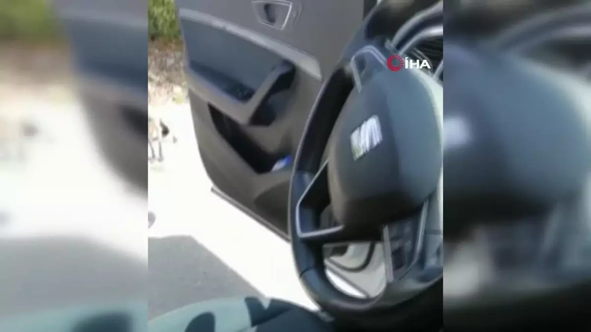 Tesco Kipa\'dan 4 Bin Kişiye İş İmkanı