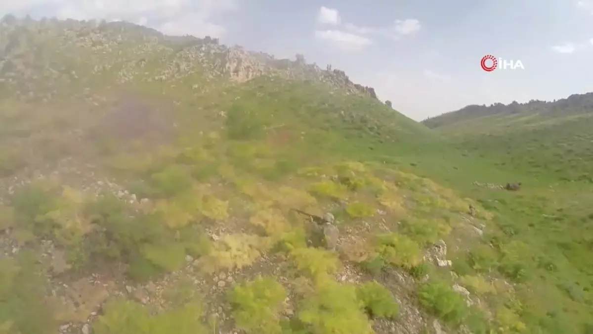 Kültür Şokunu Atlatmak İçin Tüyolar