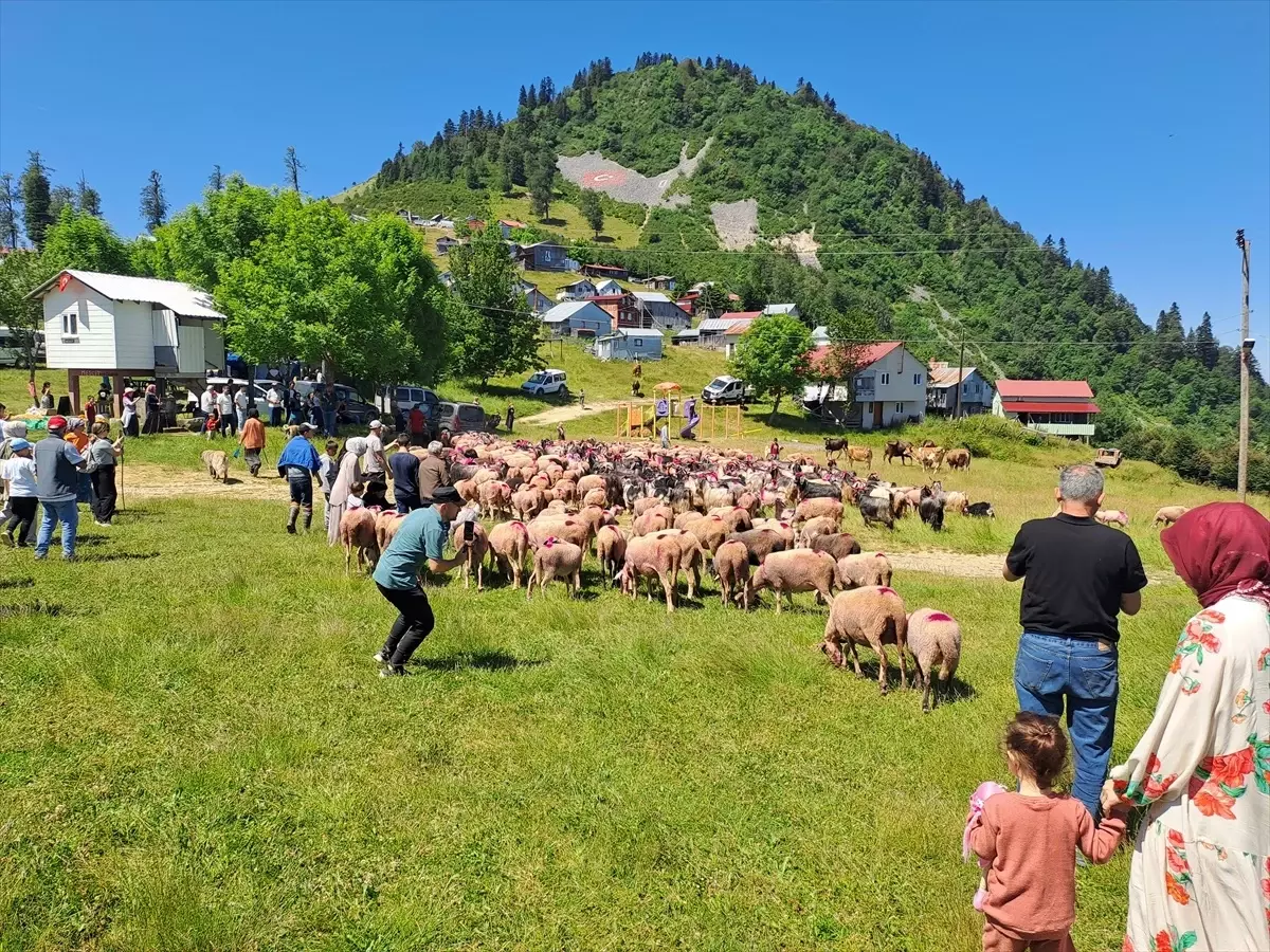Afyonkarahisar'da Turizm Haftası Etkinlikleri
