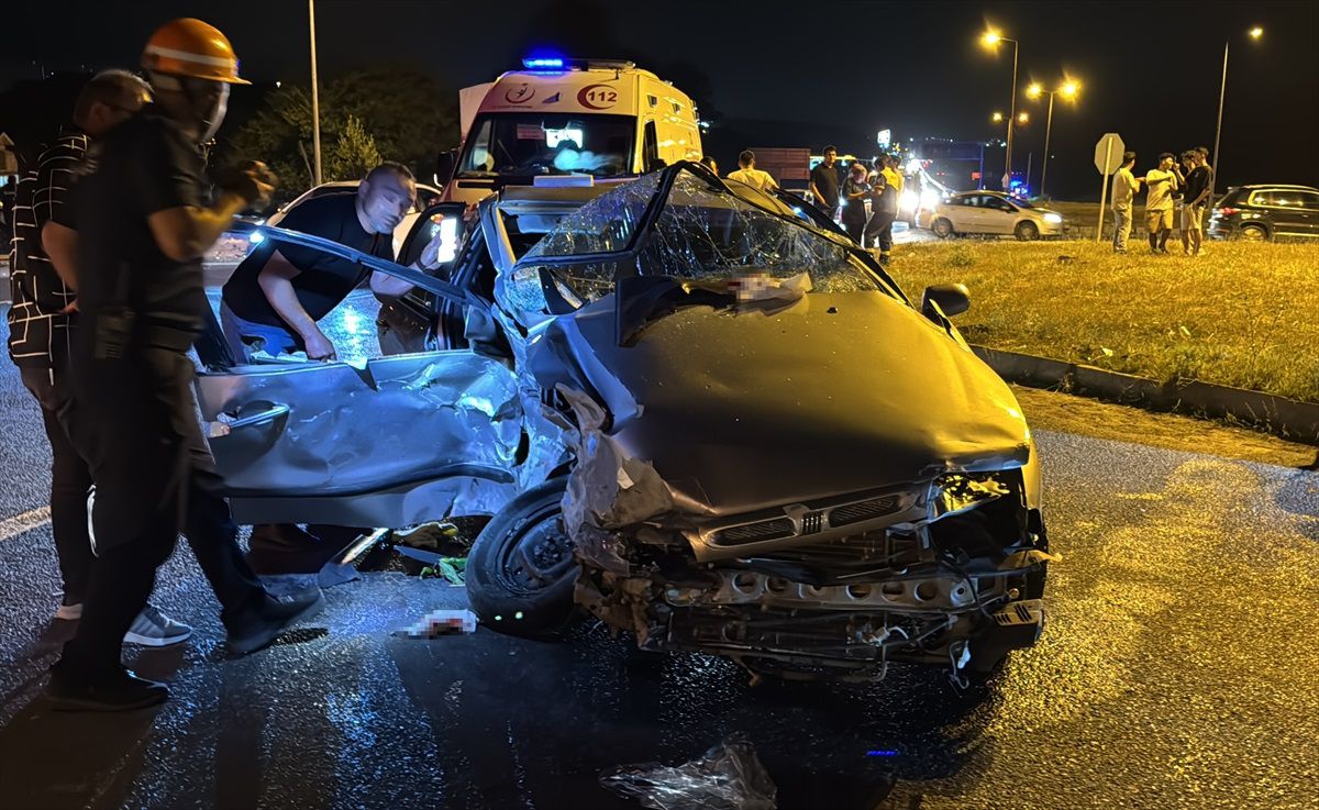 Silopi\'de Şap Hastalığı