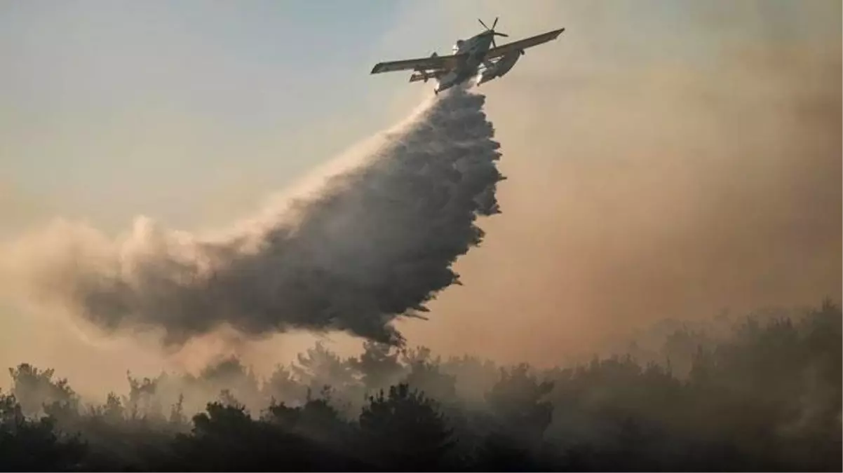 Çanakkale Eceabat\'ta dünden beri devam eden orman yangını kontrol altında