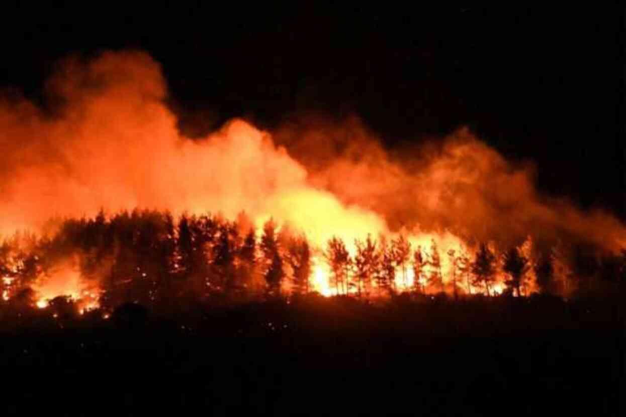 Dünden beri alevlere teslim olan Çanakkale'de yangının ilerlemesi durduruldu