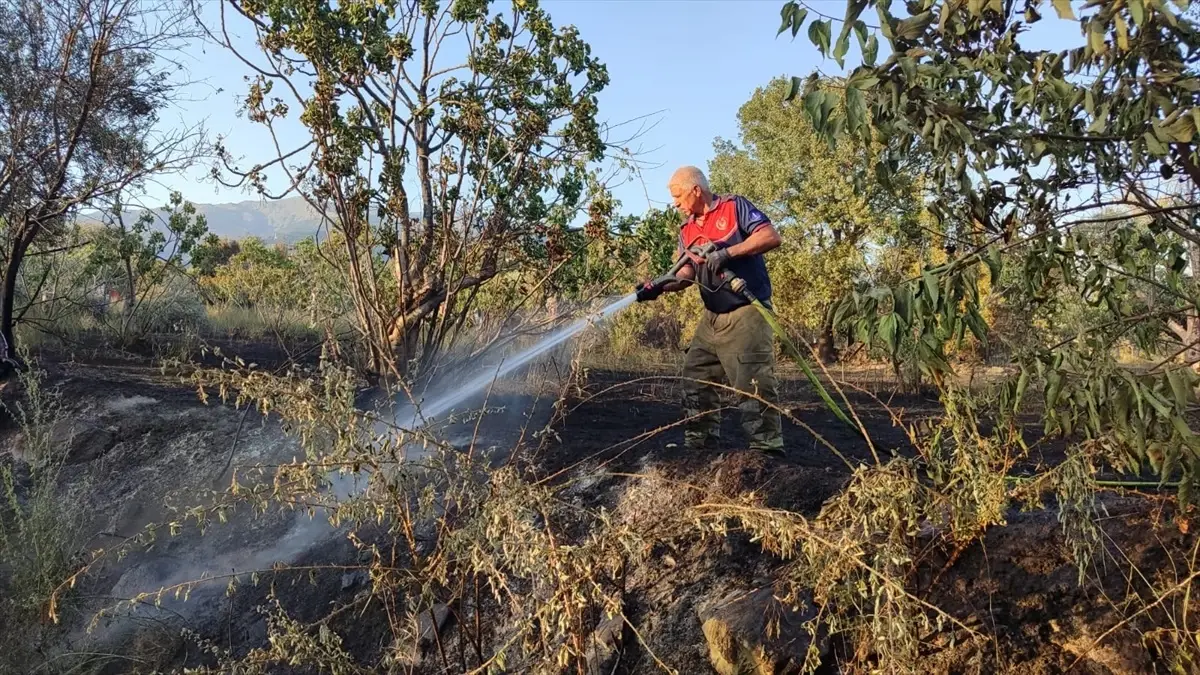 Alanya\'da Evinde Ölü Bulunan Yaşlı Kadının Yeğeni Gözaltına Alındı