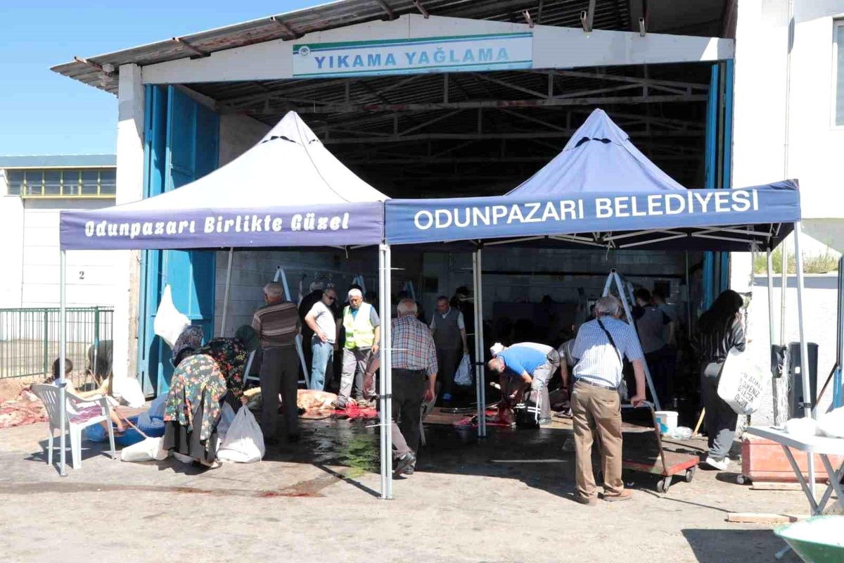 Uyurken Akrebin Soktuğu Kız Öldü