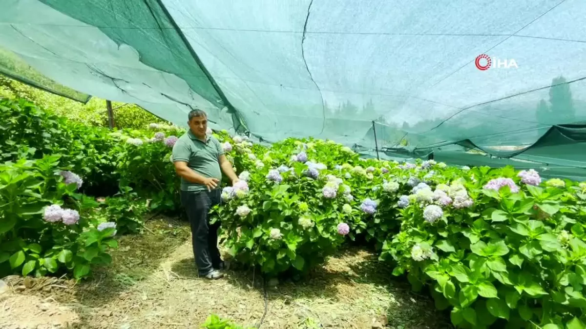İnternet Haftası Etkinlikleri