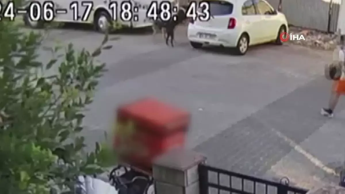 Galatasaraylı Futbolcular Panelde