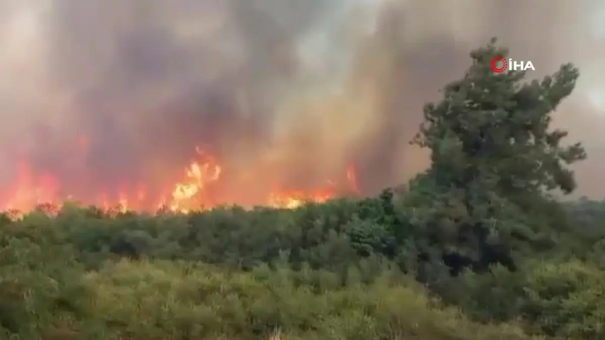 Batman\'da 140 Mayın Kapsülü Ele Geçirildi