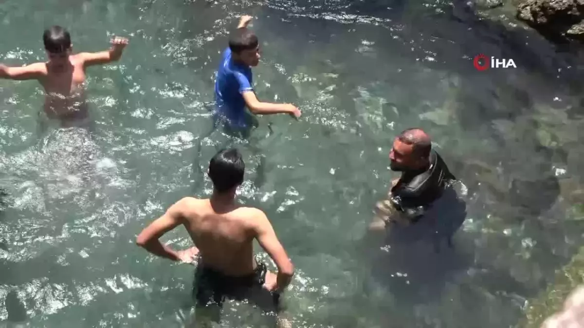 Yüksek Öğretim Kurumları Kendilerini Yenilemiyor