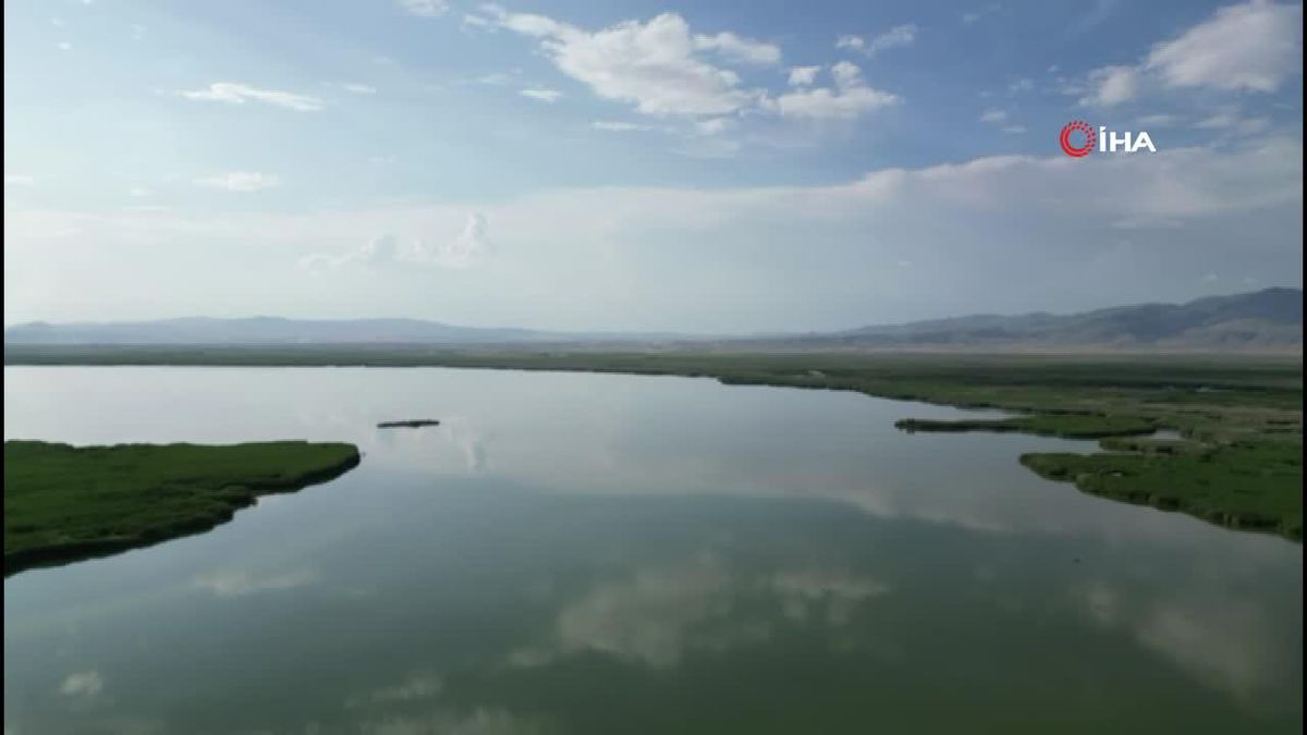 Uçaktan Düşen Hostes Hastaneye Kaldırıldı