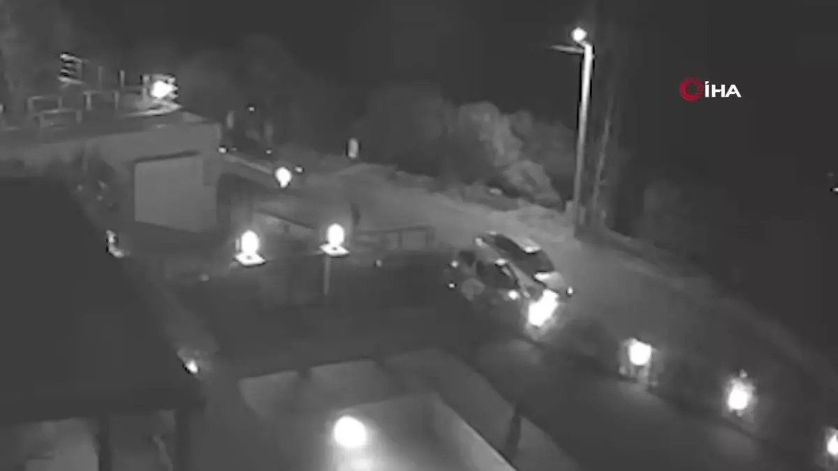 Mersin'de Orman Zararlılarıyla Mücadele