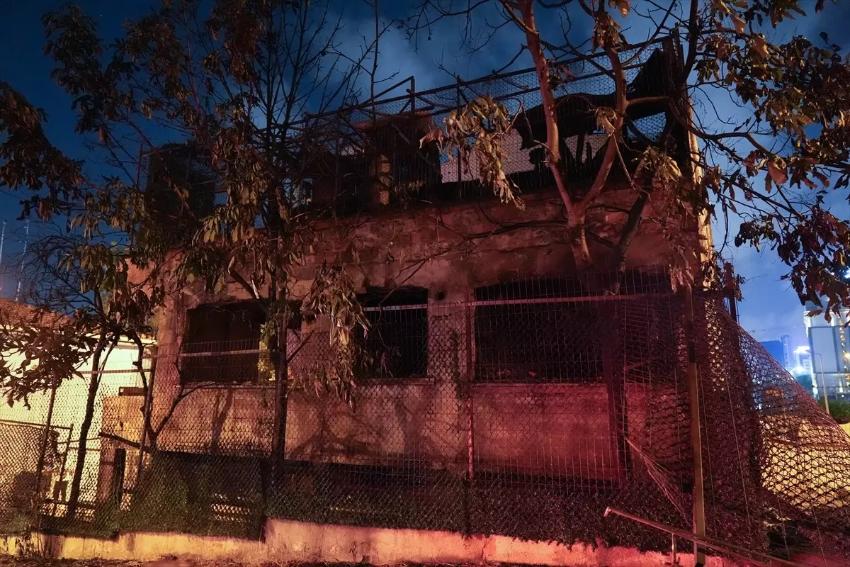 Selim\'de Kar Hayatı Felç Etti