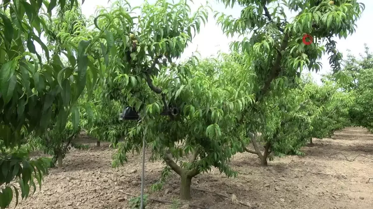 Konya\'da Uyuşturucu Operasyonu