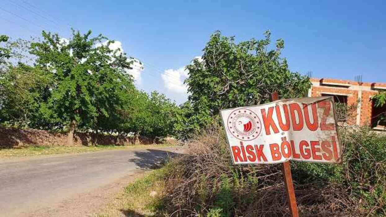 Niğde'de bir mahalle, kuduz karantinasına alındı