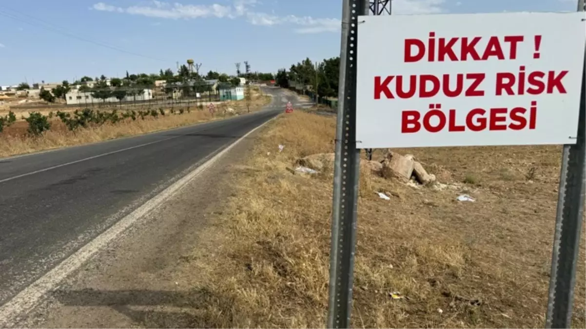 Niğde\'de 1 kişiyi hastanelik eden başıboş köpek öldü, mahalle karantinaya alındı