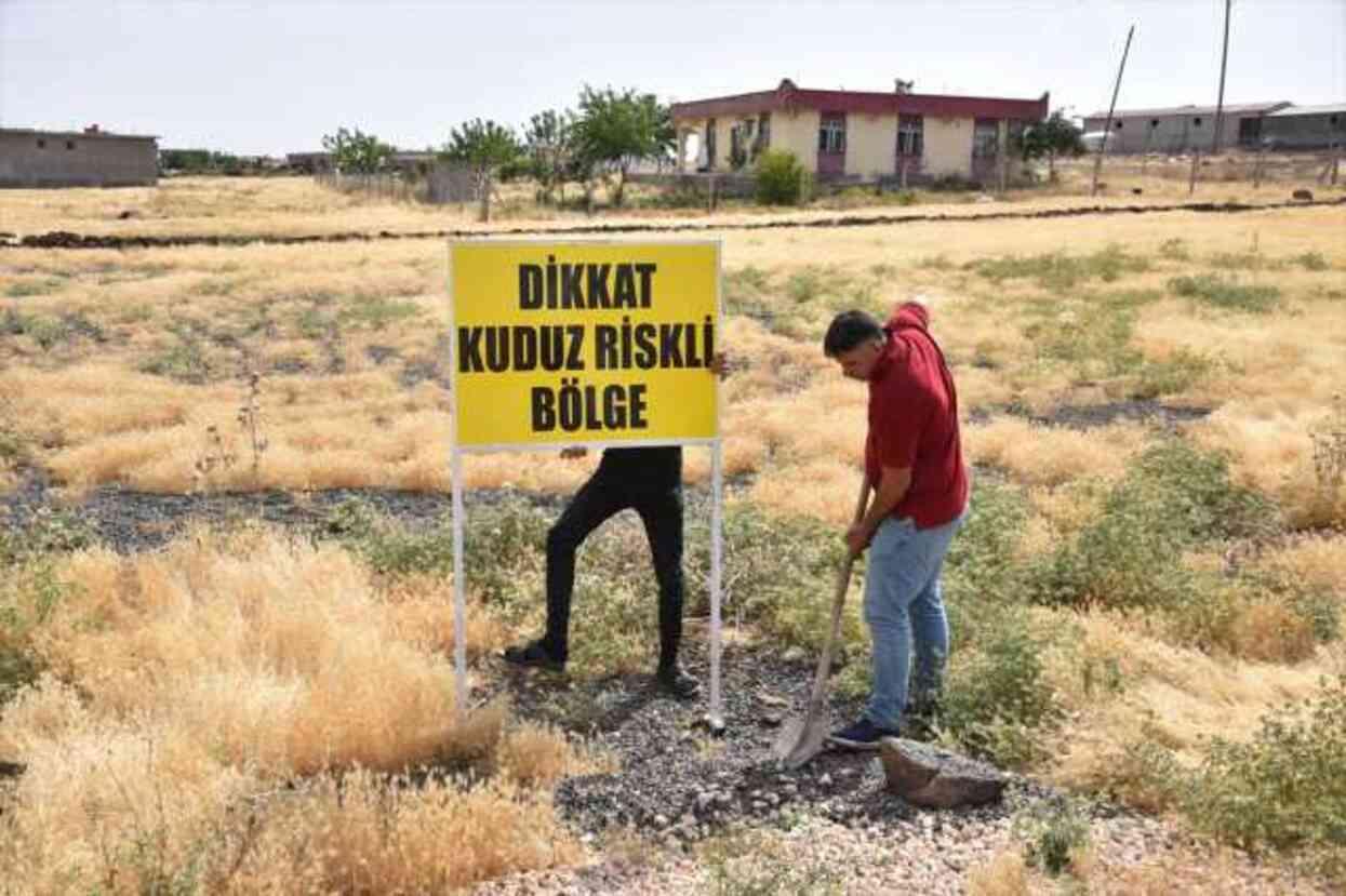 Şanlıurfa'da Kuduz Vakası: Bir Mahalle Karantinaya Alındı, Köpekler Aşılandı