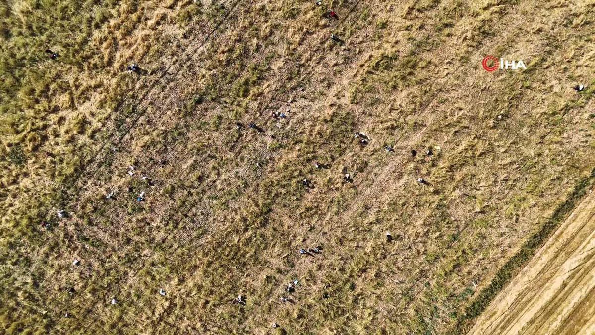 Pazar Esnafının Yer Tepkisi