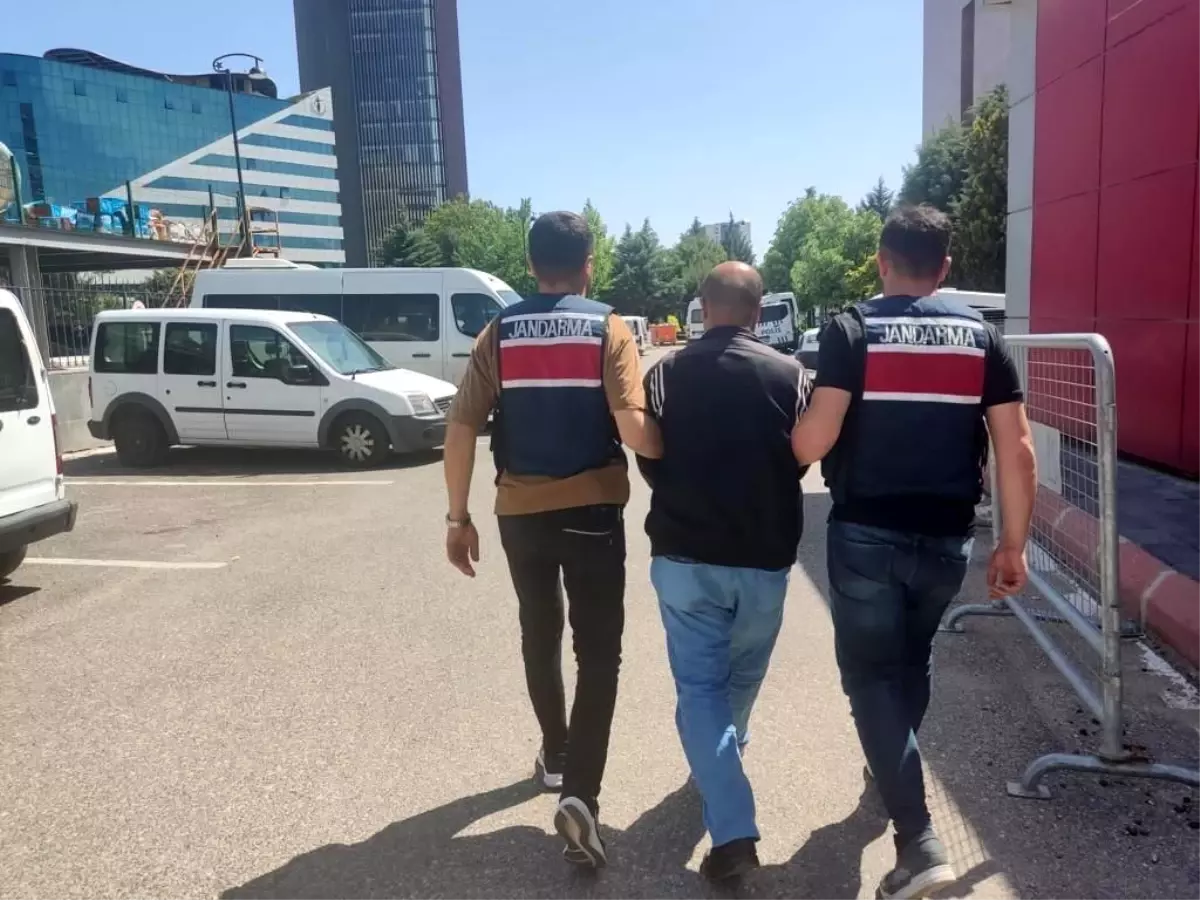 Tse-sojuztest Bir Yılda 220 Kat Büyüdü