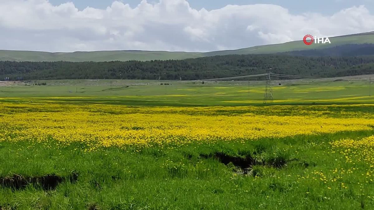 Turcas-Socar, 4 Milyar Dolara Rafineri Kuracak