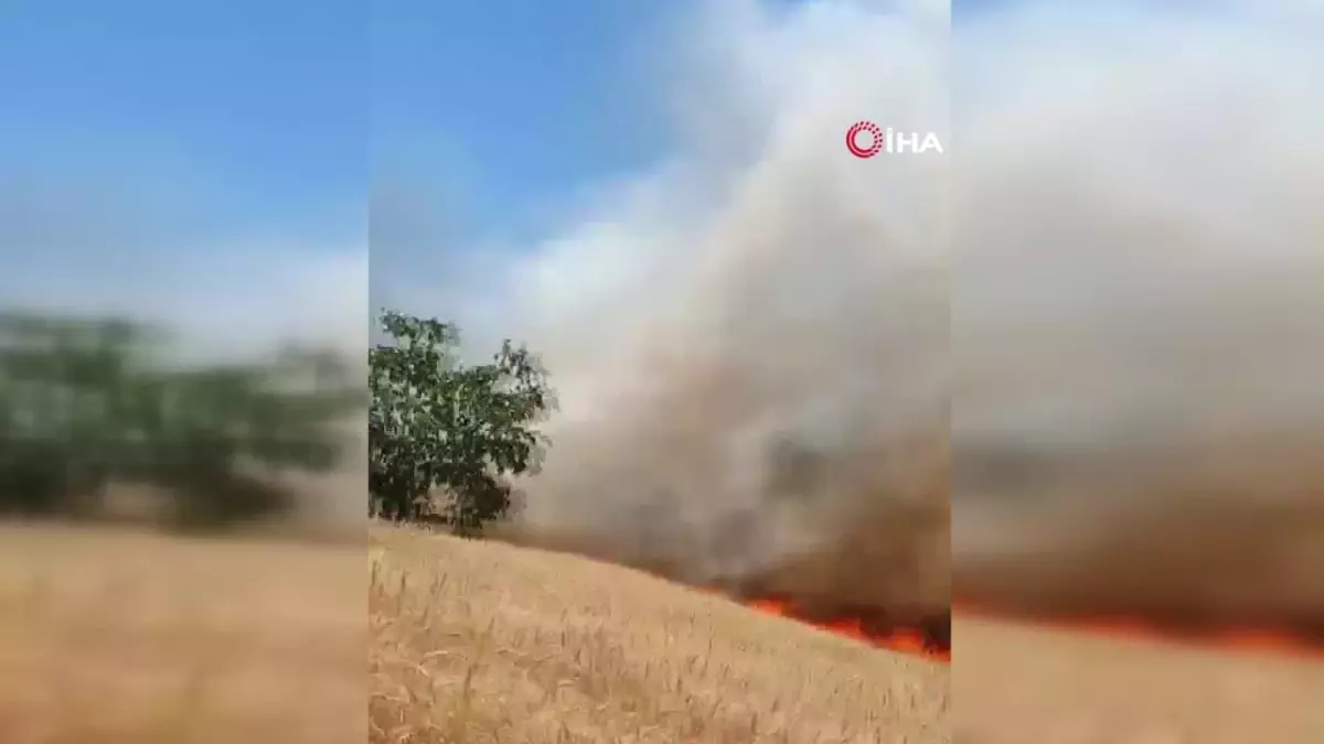 Aa Fotoğraflarına Ödül