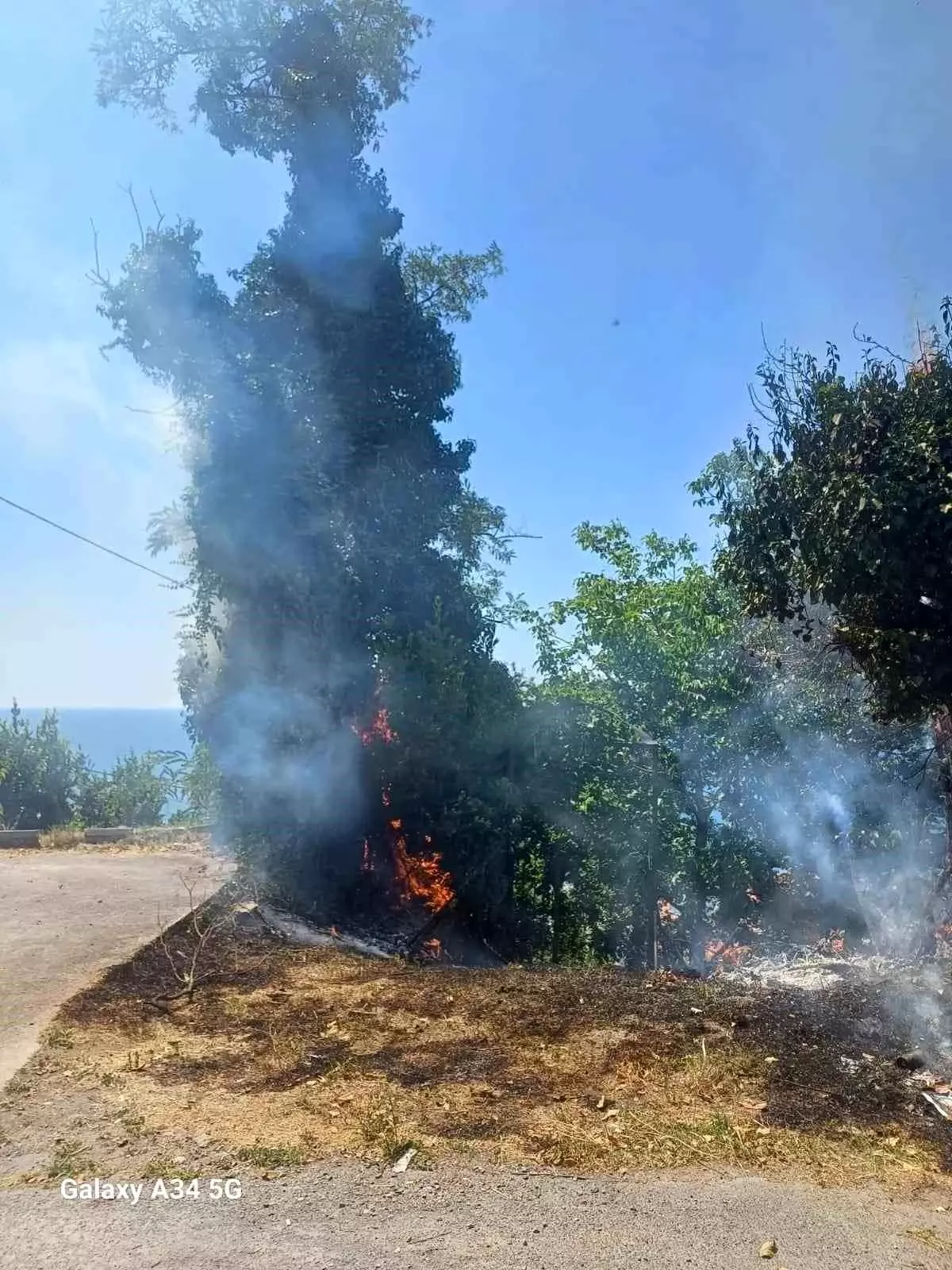 Zonguldak\'ta Anız Yangınına Ekipler Müdahale Etti