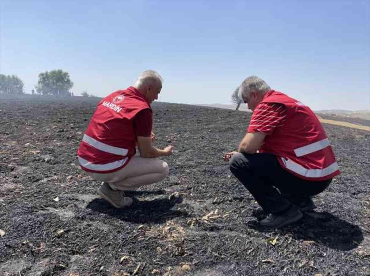 Diyarbakır Valiliğine 3 milyon TL, Mardin Valiliğine de 2 milyon TL acil yardım ödeneği sevk edildi