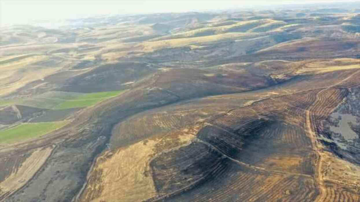 Diyarbakır ve Mardin'deki anız yangınlarında 500'den fazla koyun telef oldu