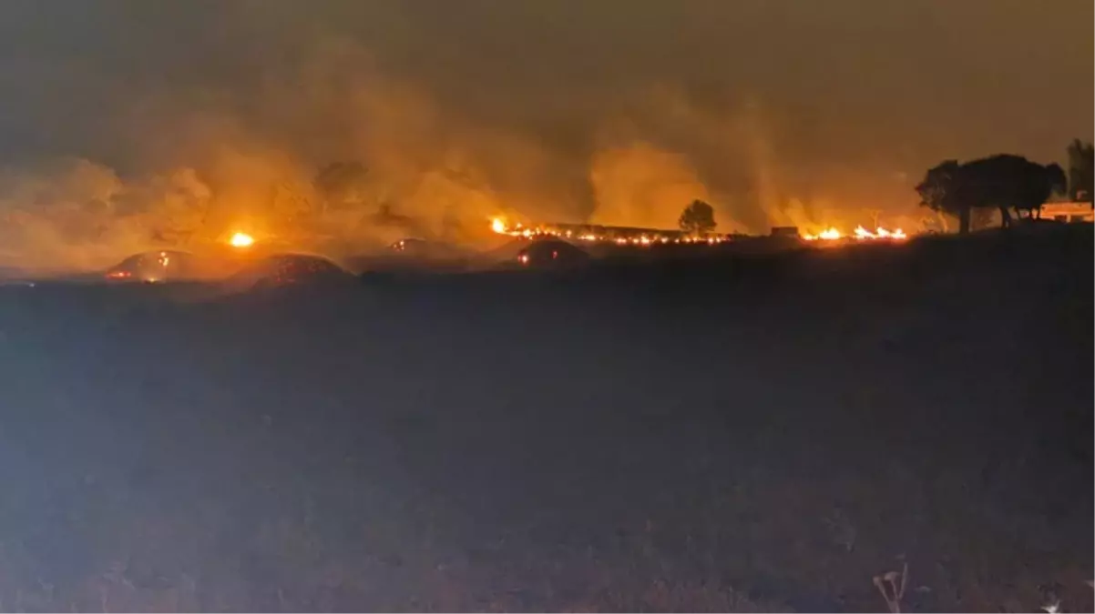 Diyarbakır ve Mardin\'deki anız yangınlarında 500\'den fazla koyun telef oldu