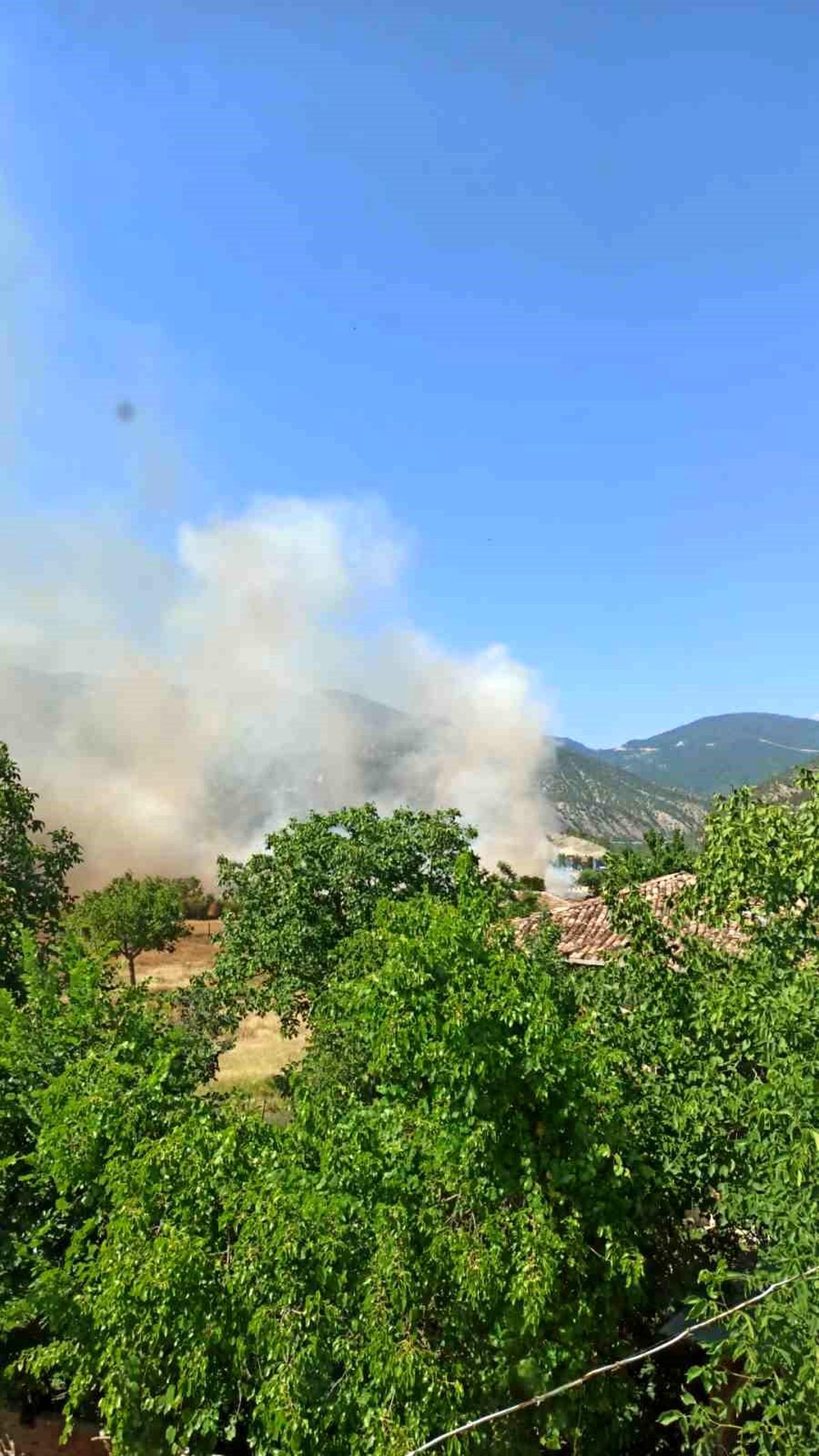 Sinop\'ta Tarım Arazisi ve Samanlık Yangında Zarar Gördü