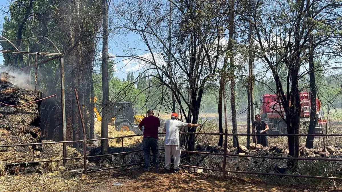 Burdur\'da çıkan yangında bin adet saman balyası kül oldu