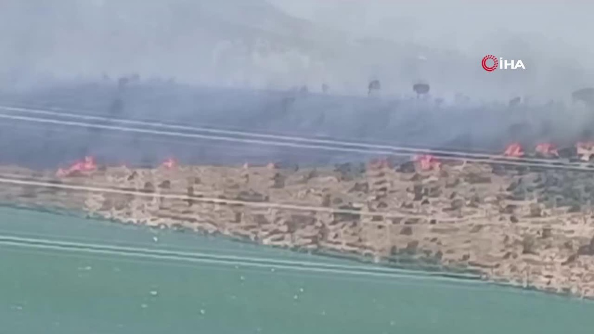 Aliağa\'da makilik ve otluk alanda çıkan yangın söndürüldü