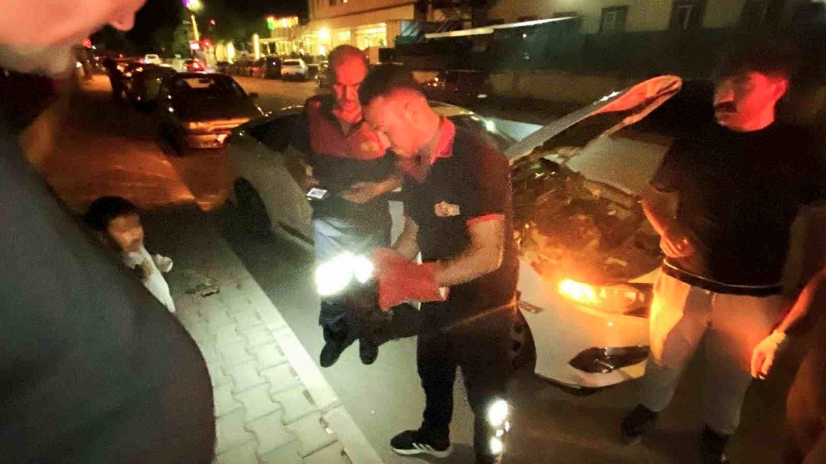 Erzincan\'da Sıkışan Yavru Kedi İtfaiye Tarafından Kurtarıldı