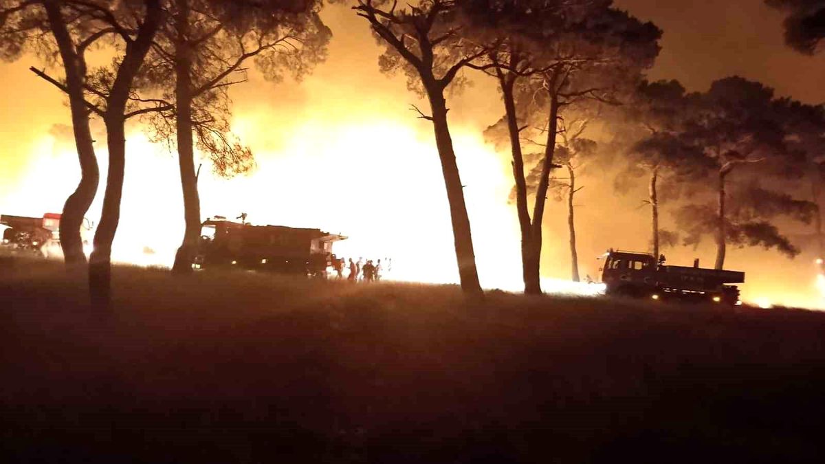 Çanakkale\'de Tarım Arazisinde Başlayan Yangın Ormanlık Alana Sıçradı